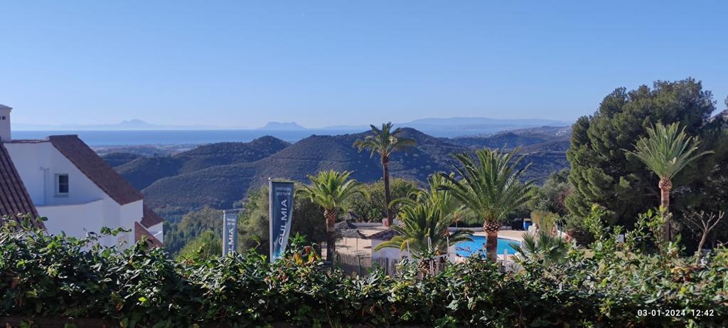 WhatsApp Image 2024-07-16 at 12.18.30 (3)